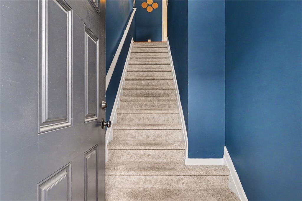 Carpeted staircase between deep blue walls, with a gray paneled door in the foreground.