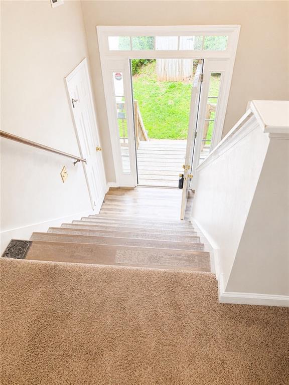 Carpeted staircase leading to an open front door and a grassy yard.