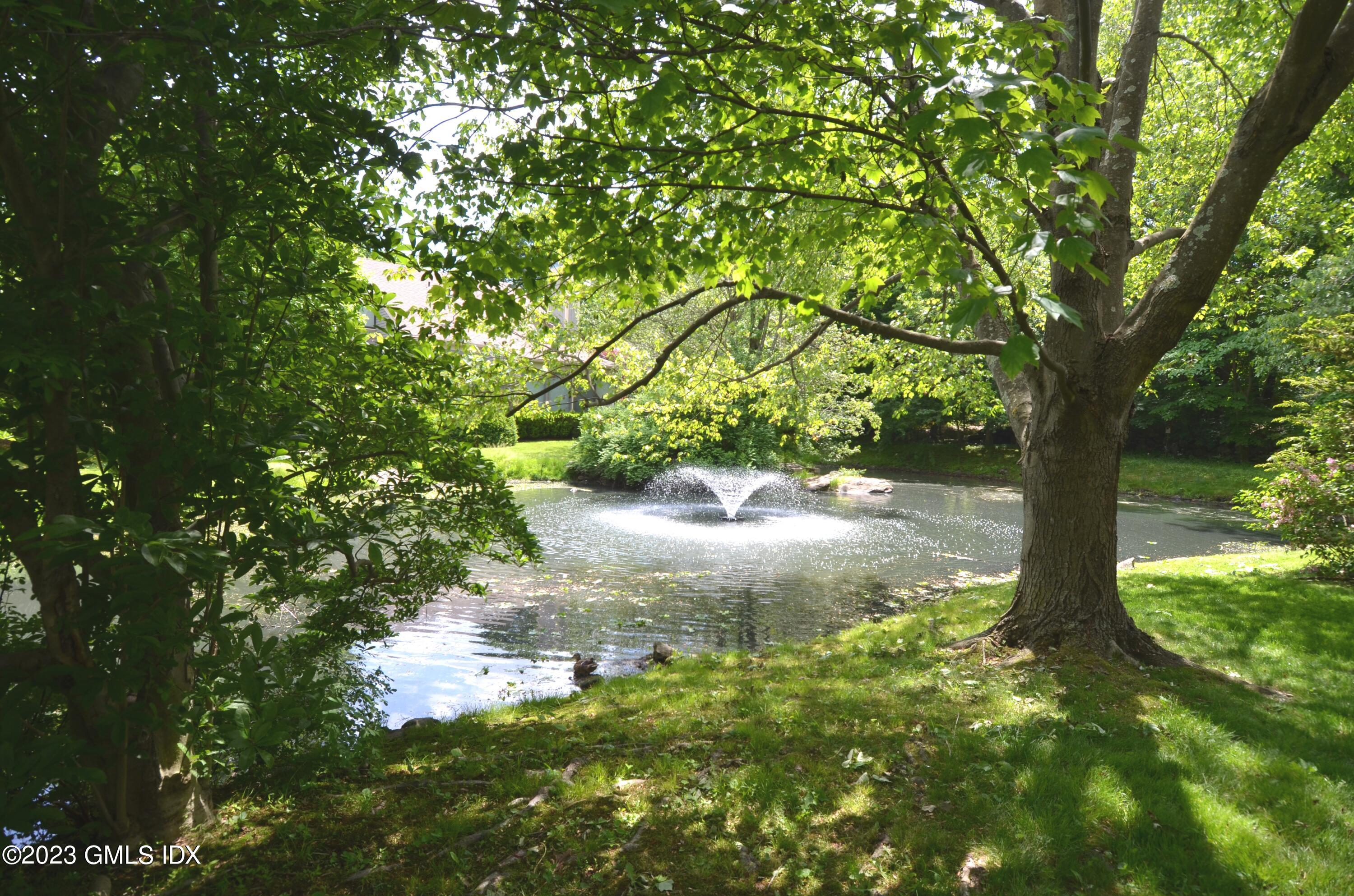 323 W Lyon Farm Drive, 323
