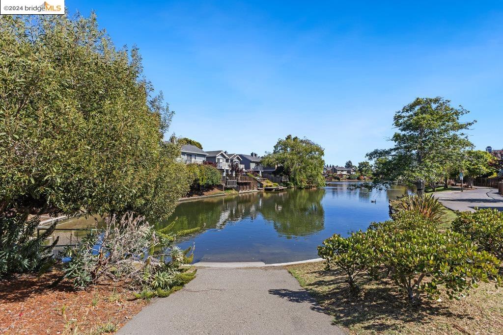 13 Palm Beach Ln