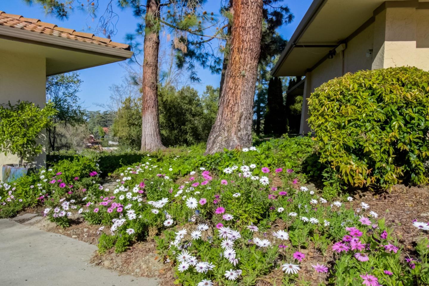 11012 Canyon Vista DR