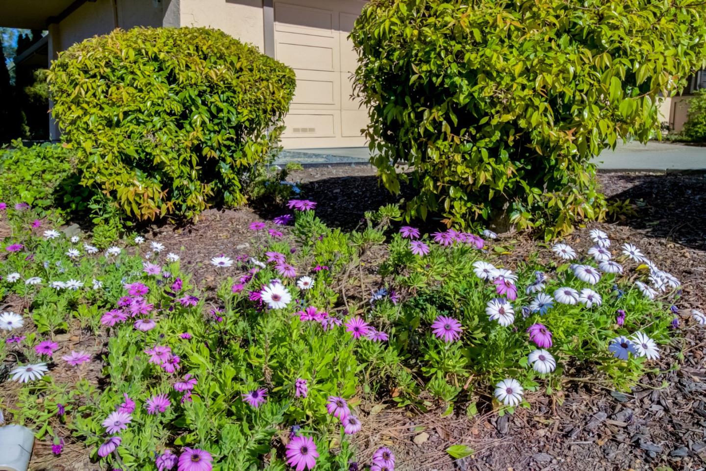 11012 Canyon Vista DR