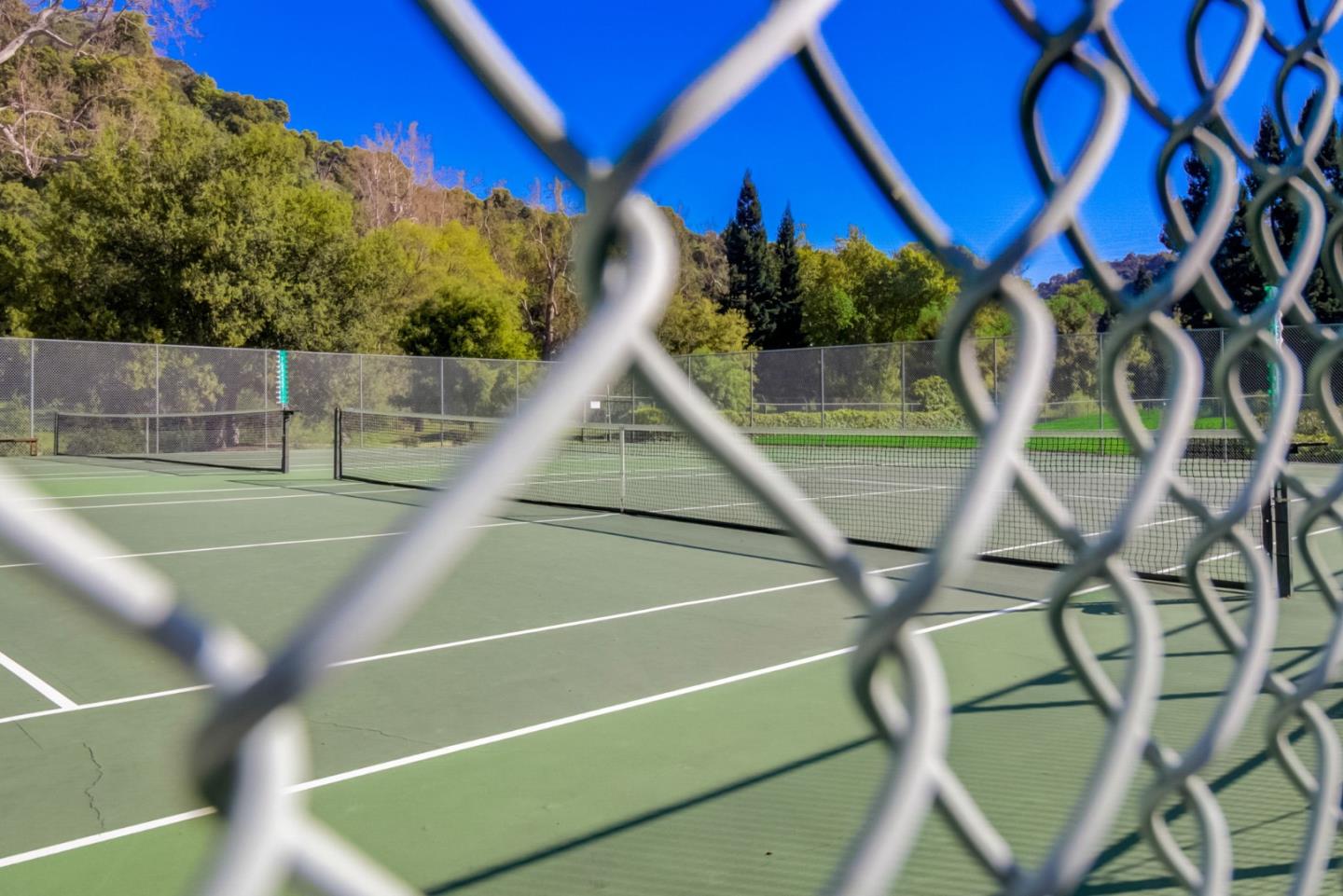 11012 Canyon Vista DR