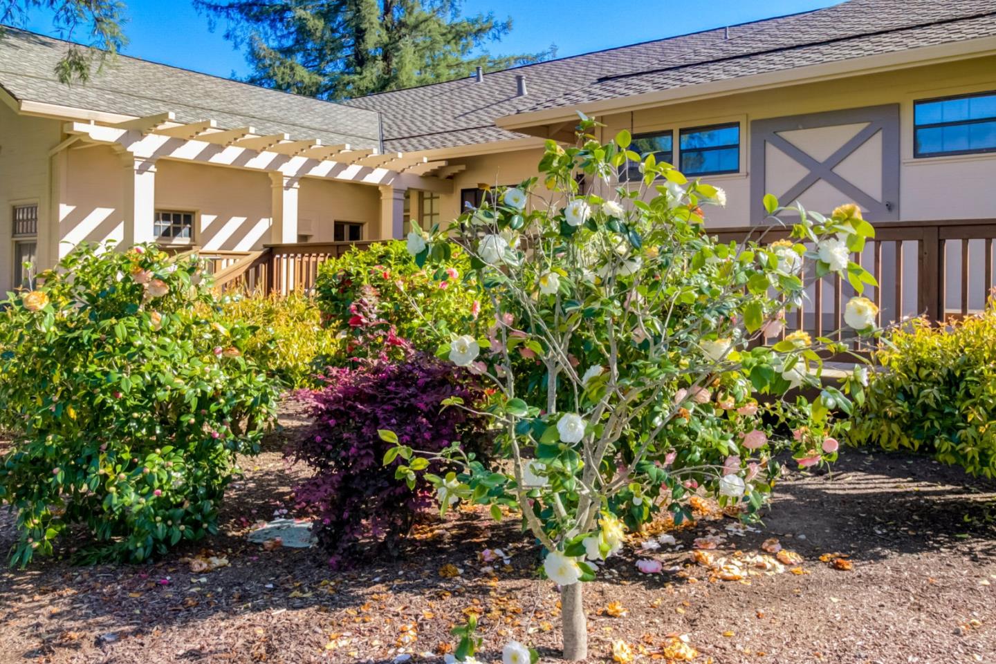 11012 Canyon Vista DR