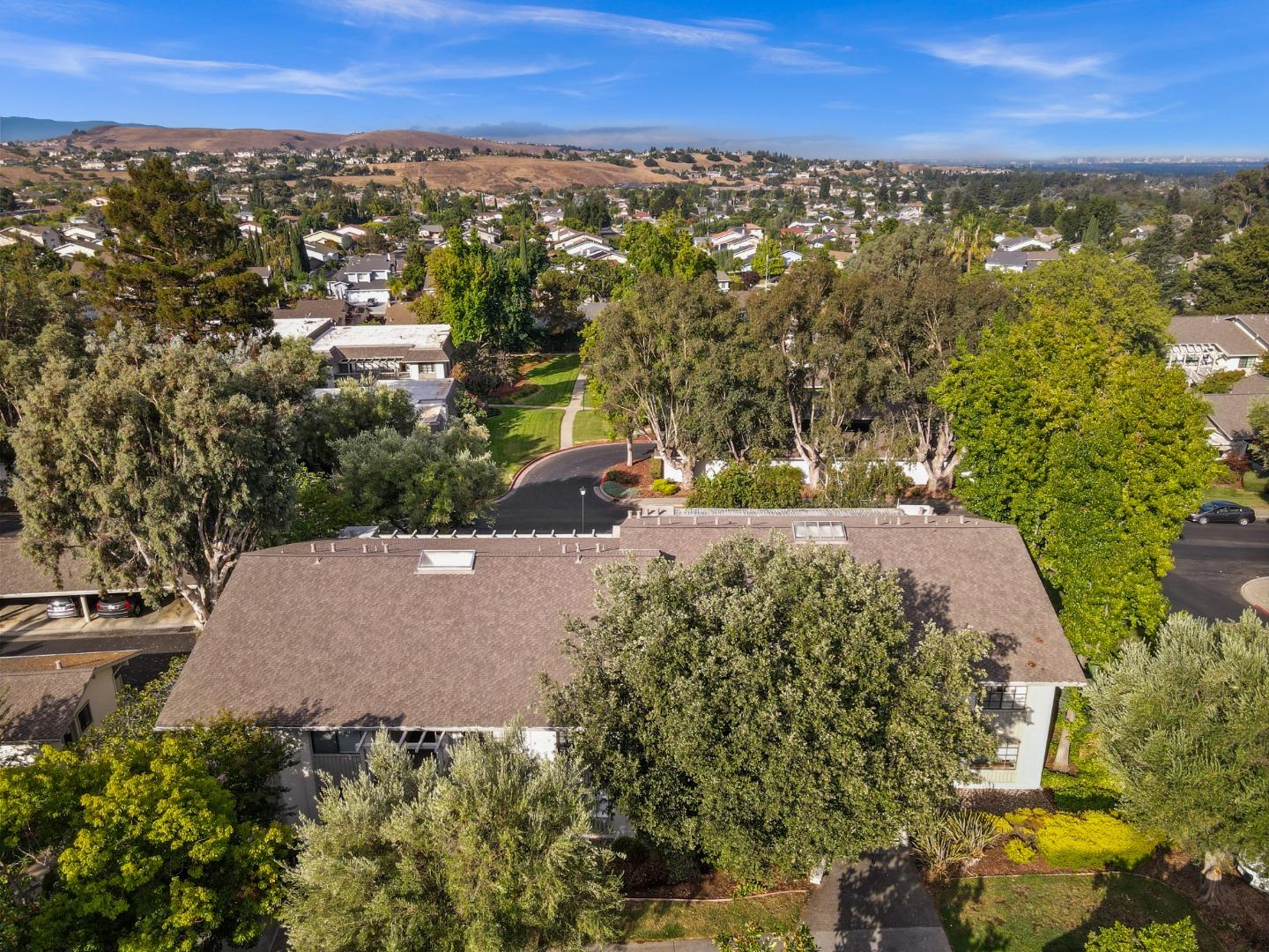 5437 Cribari Green