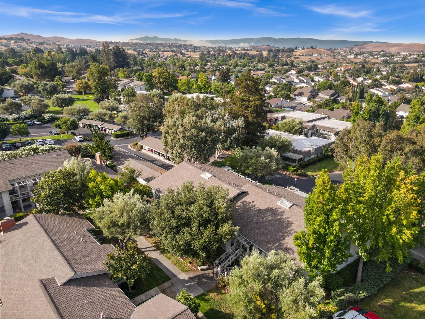 5437 Cribari Green