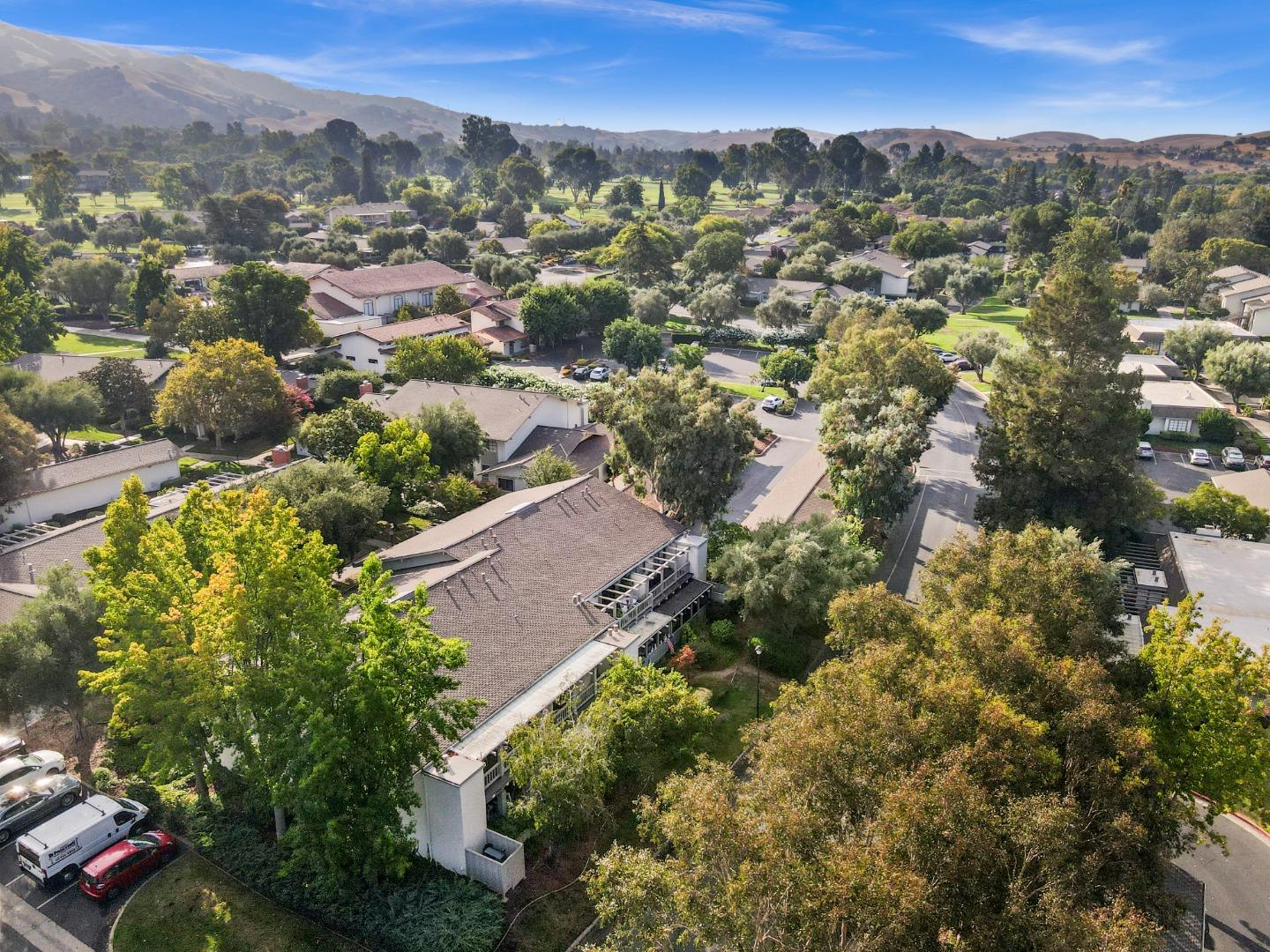 5437 Cribari Green