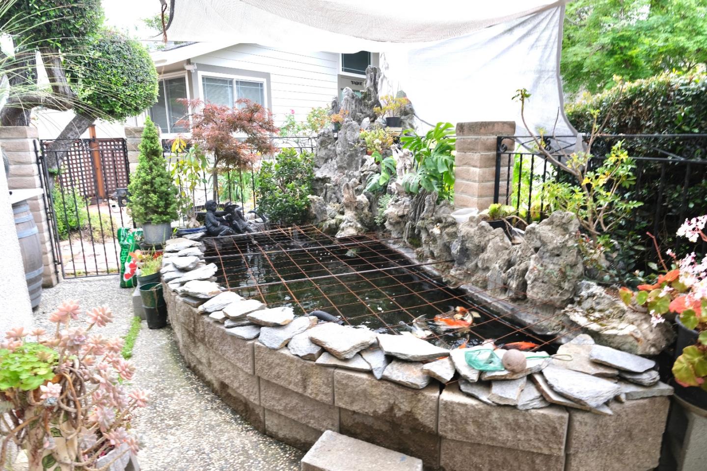 5076 Cineraria Court