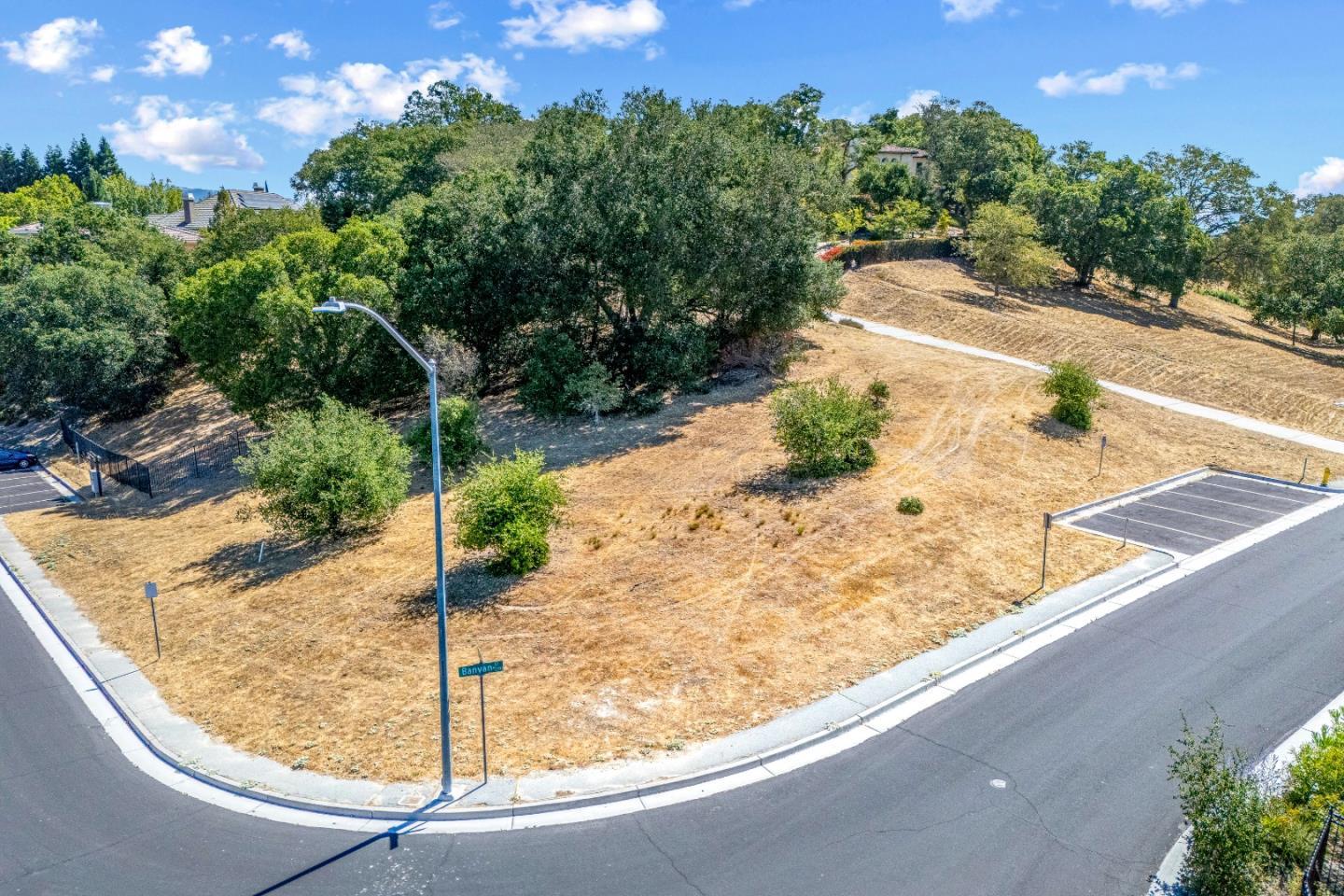 Vacant corner lot with dry grass, mature trees, and streets on two sides.