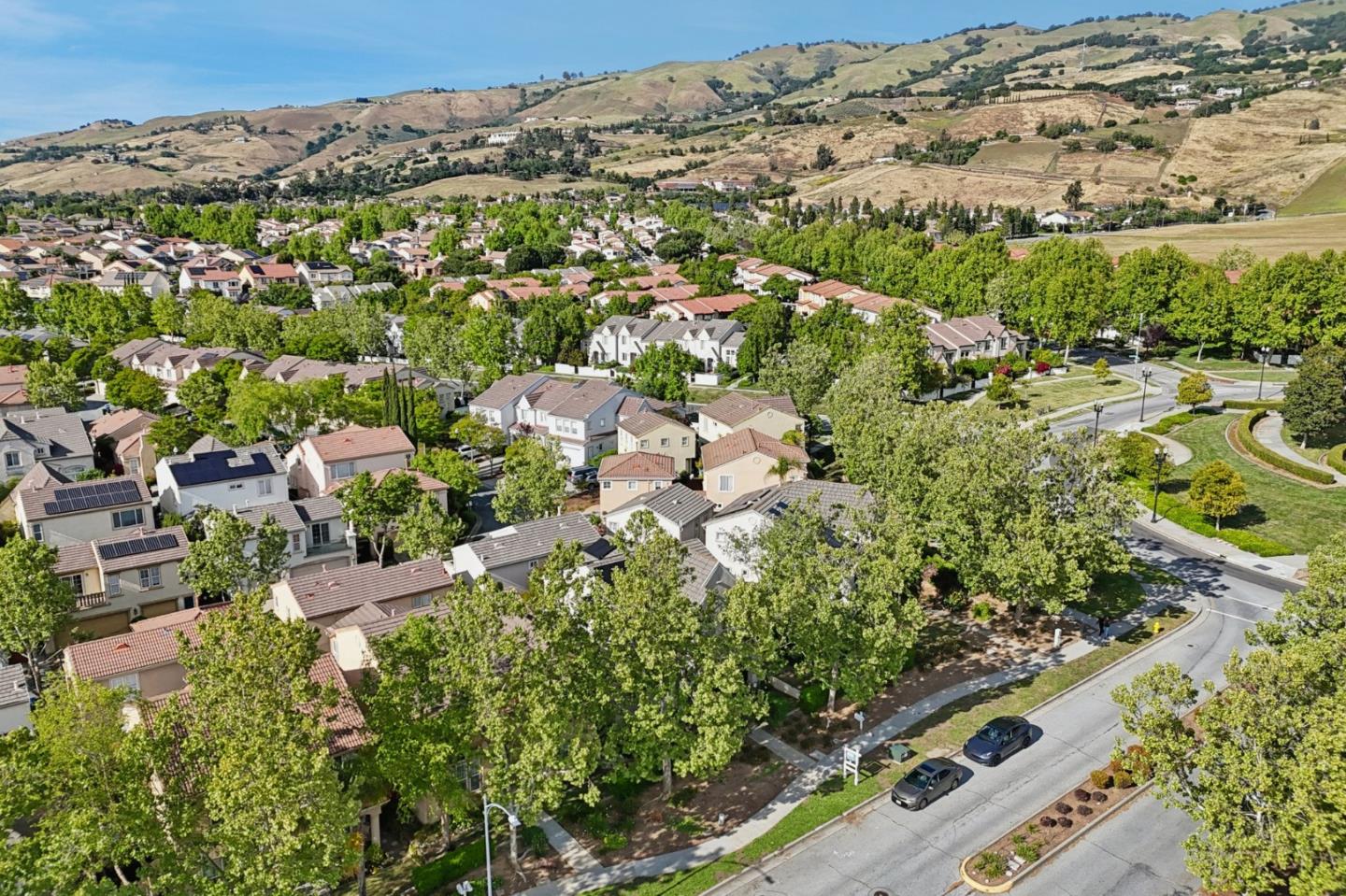 3357 Michelangelo Drive
