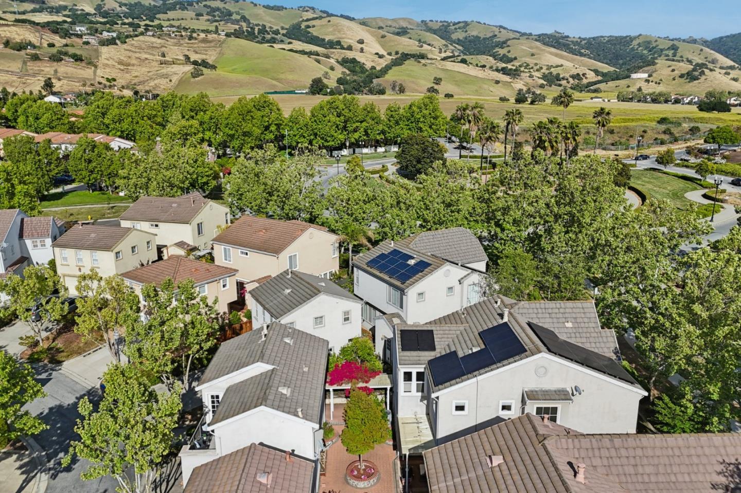 3357 Michelangelo Drive
