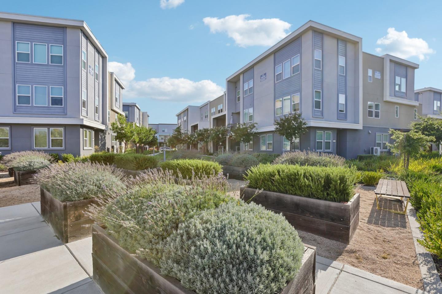 6571 Vision CT