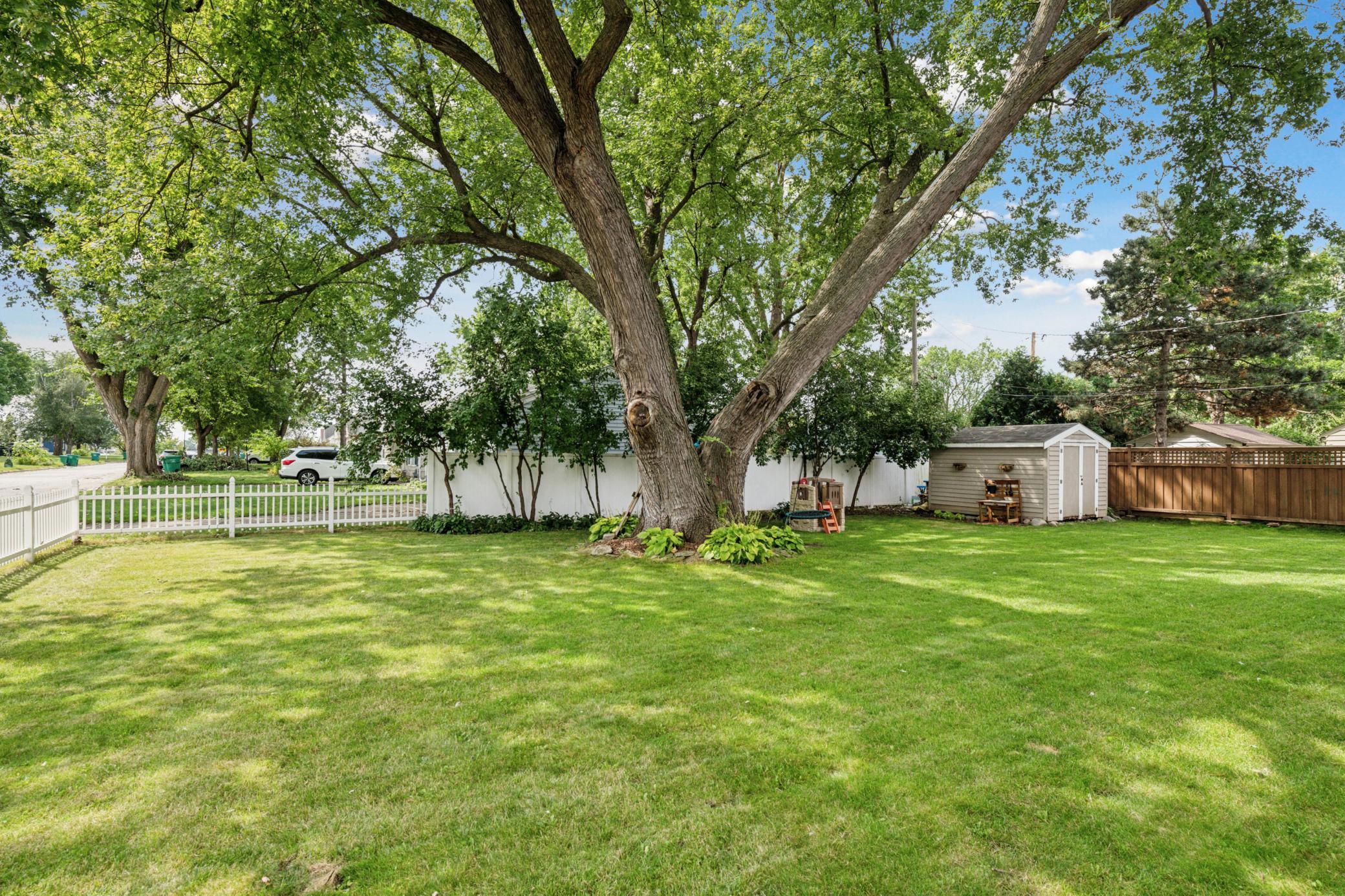 8501 W 35th Street