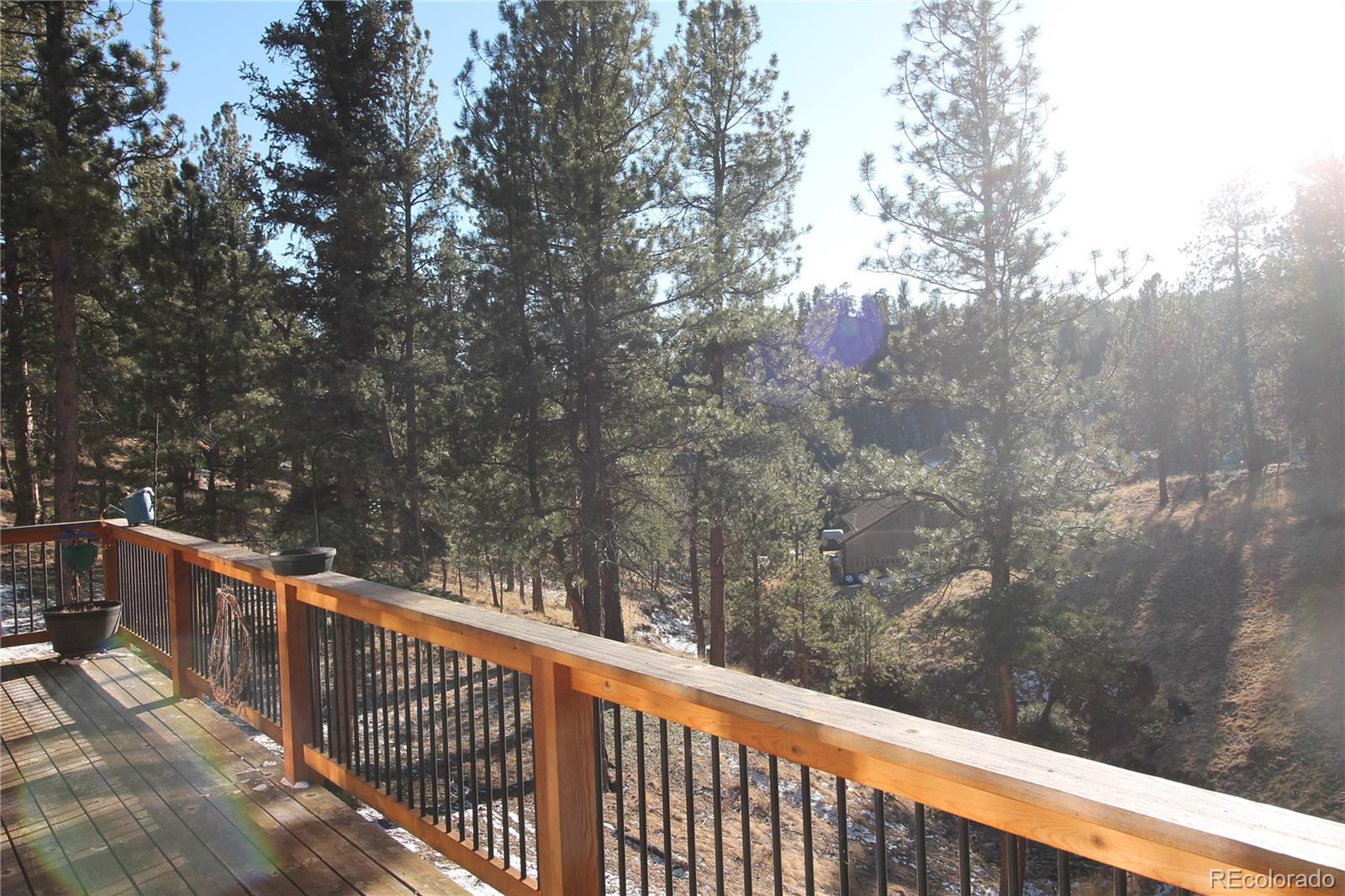 11845 S Stallion Drive