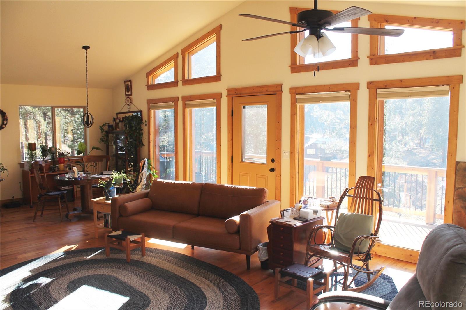 11845 S Stallion Drive