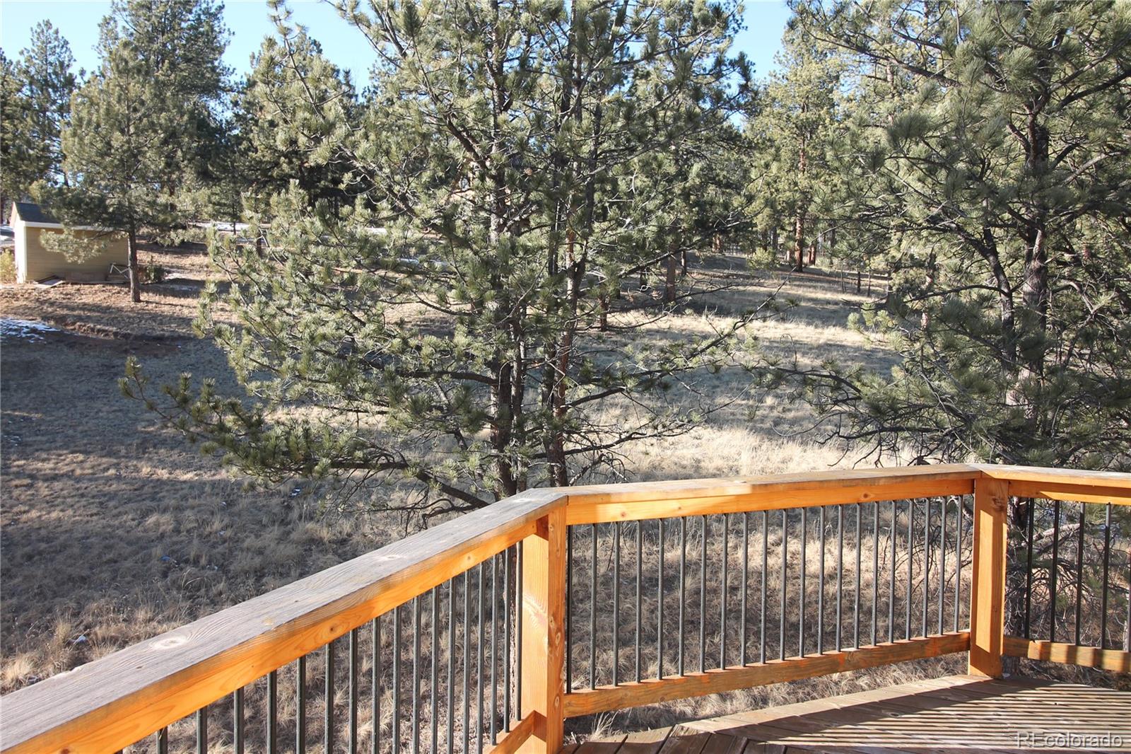 11845 S Stallion Drive