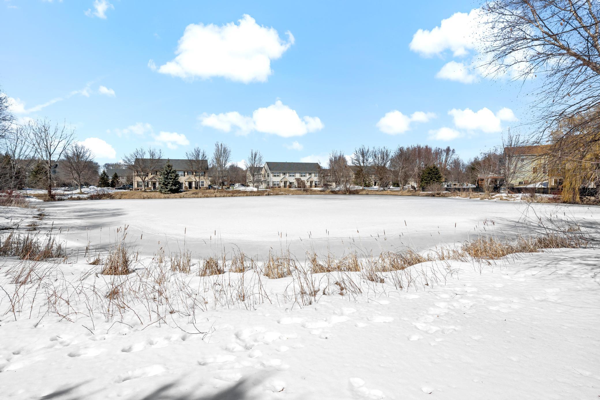 12037 Vermillion Street NE Unit: C