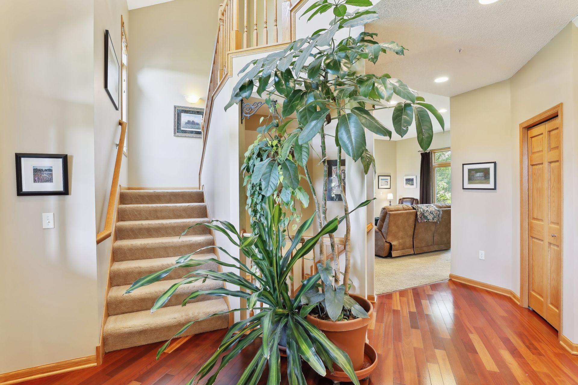 621 Cascade Drive