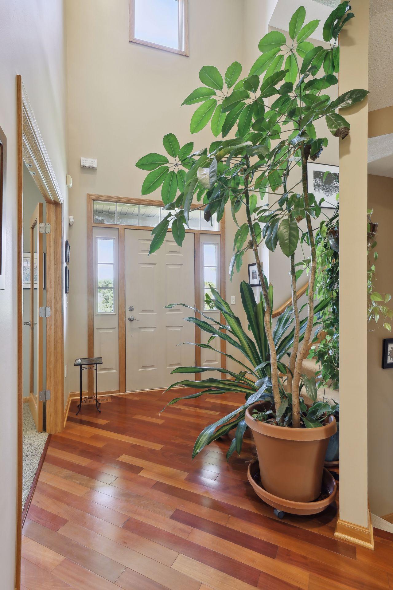621 Cascade Drive