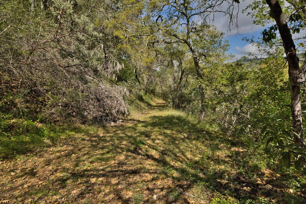 15805 Uvas Road