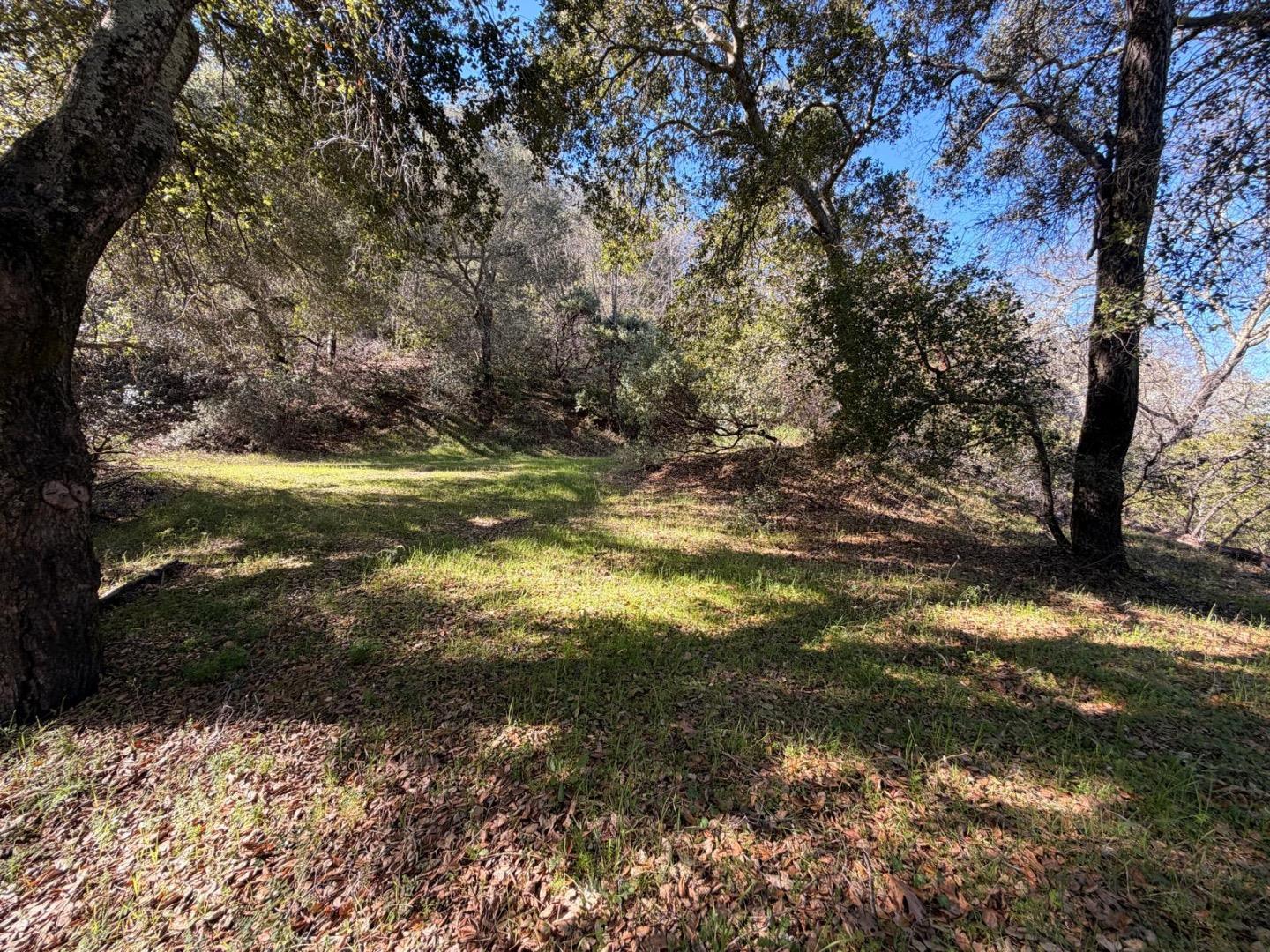 15805 Uvas Road
