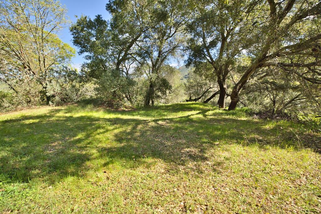 15805 Uvas Road