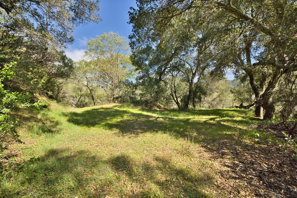 15805 Uvas Road