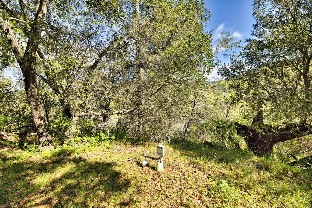 15805 Uvas Road