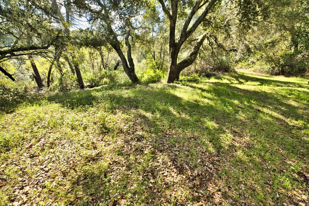 15805 Uvas Road