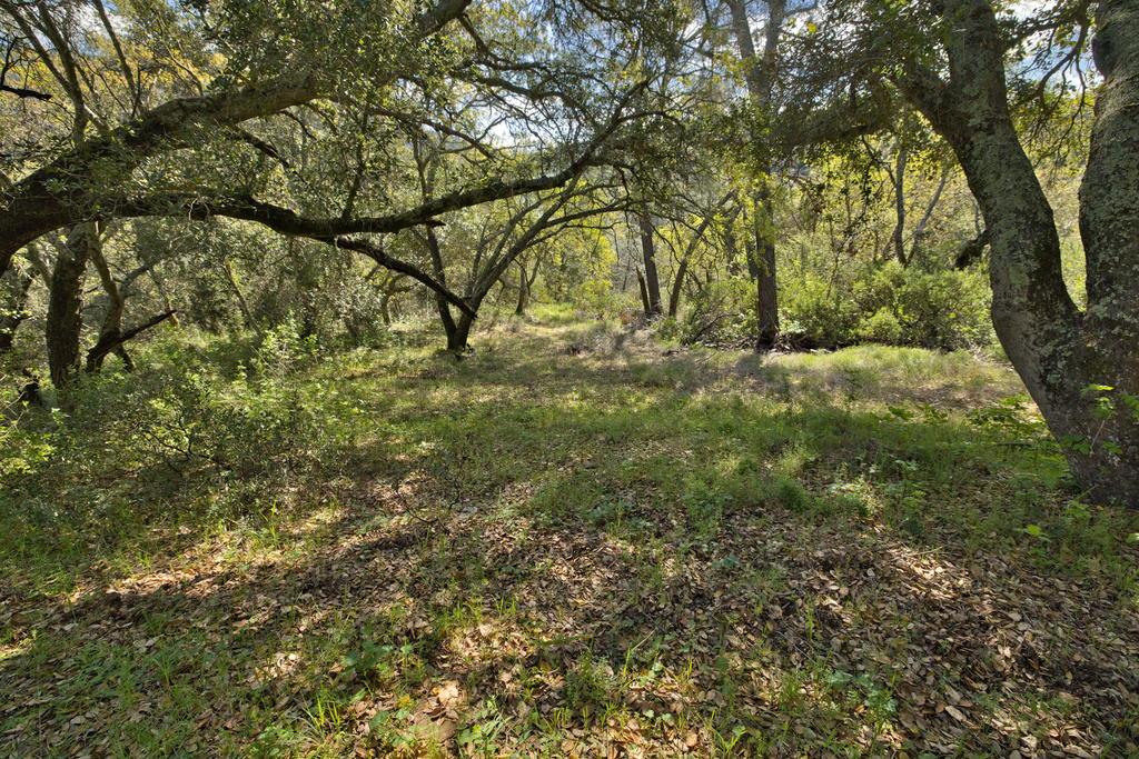 15805 Uvas Road
