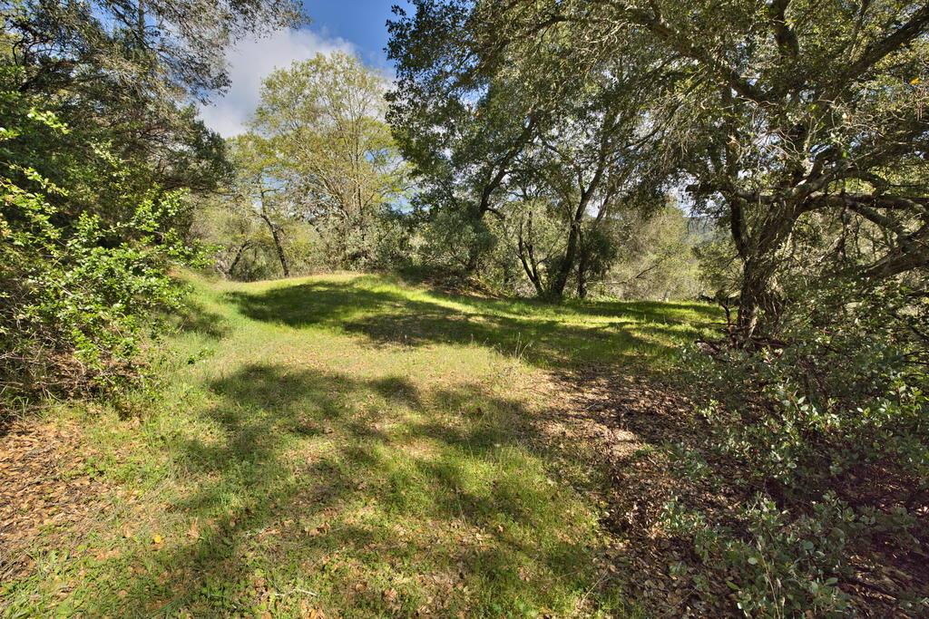 15805 Uvas Road