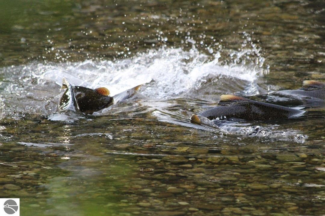 15 Acres C Wallin Road