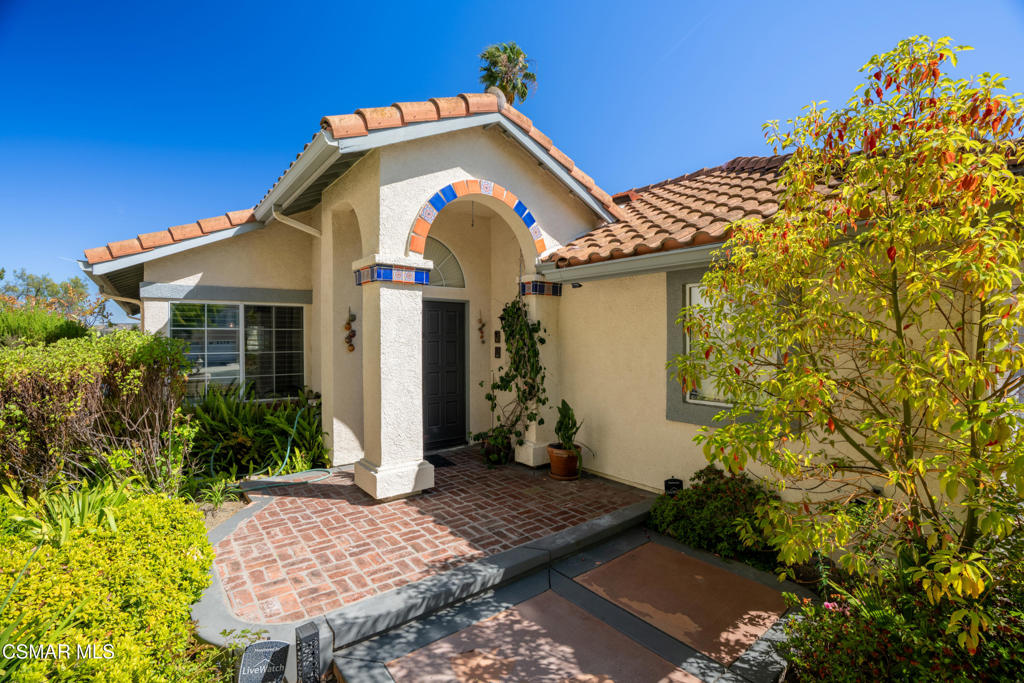 1016 Cactus Court