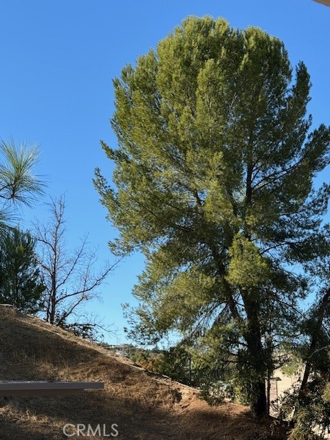 25023 Peachland Avenue 252