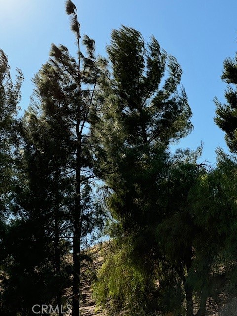 25023 Peachland Avenue 252