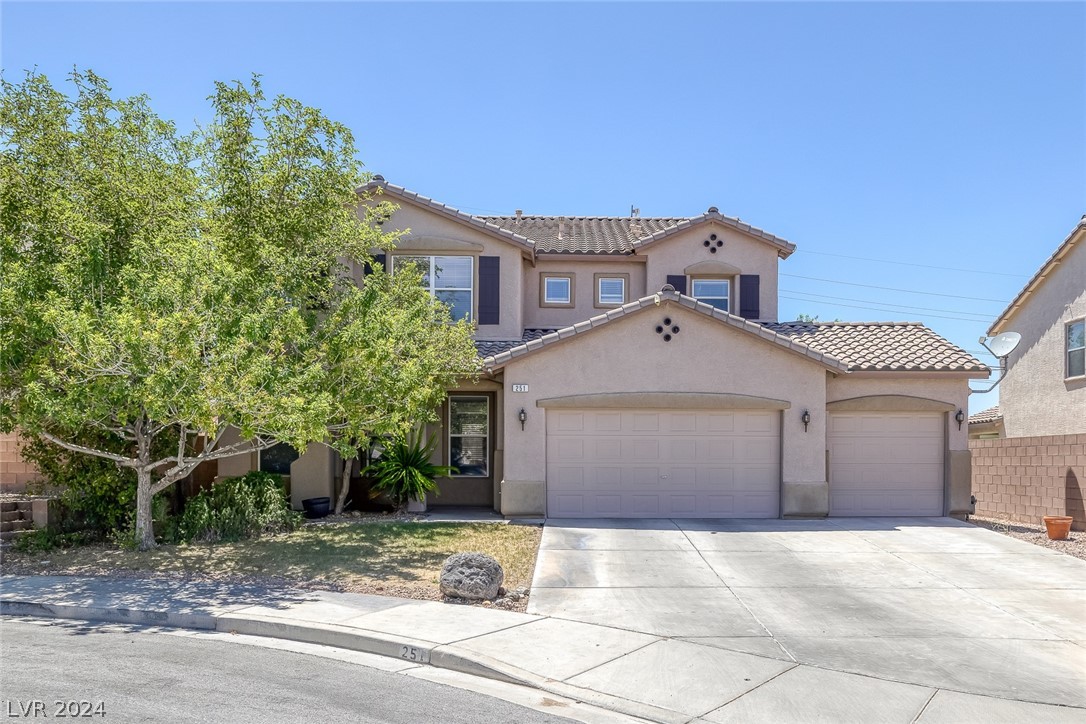 251 Palmarosa Street