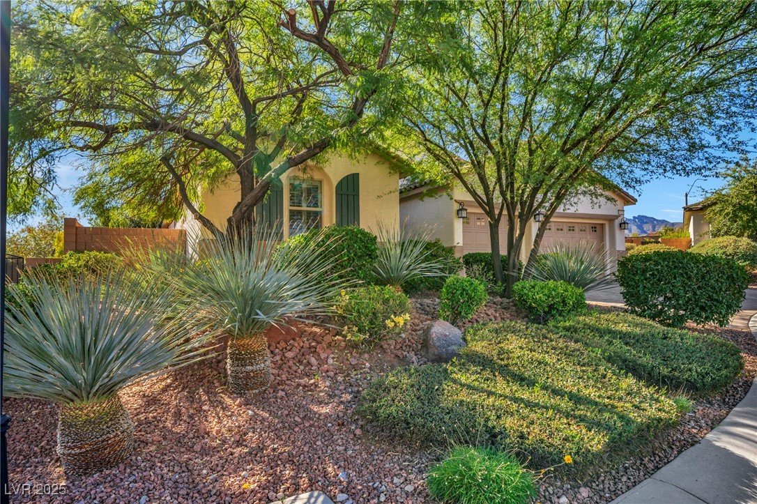 10245 Dove Row Avenue