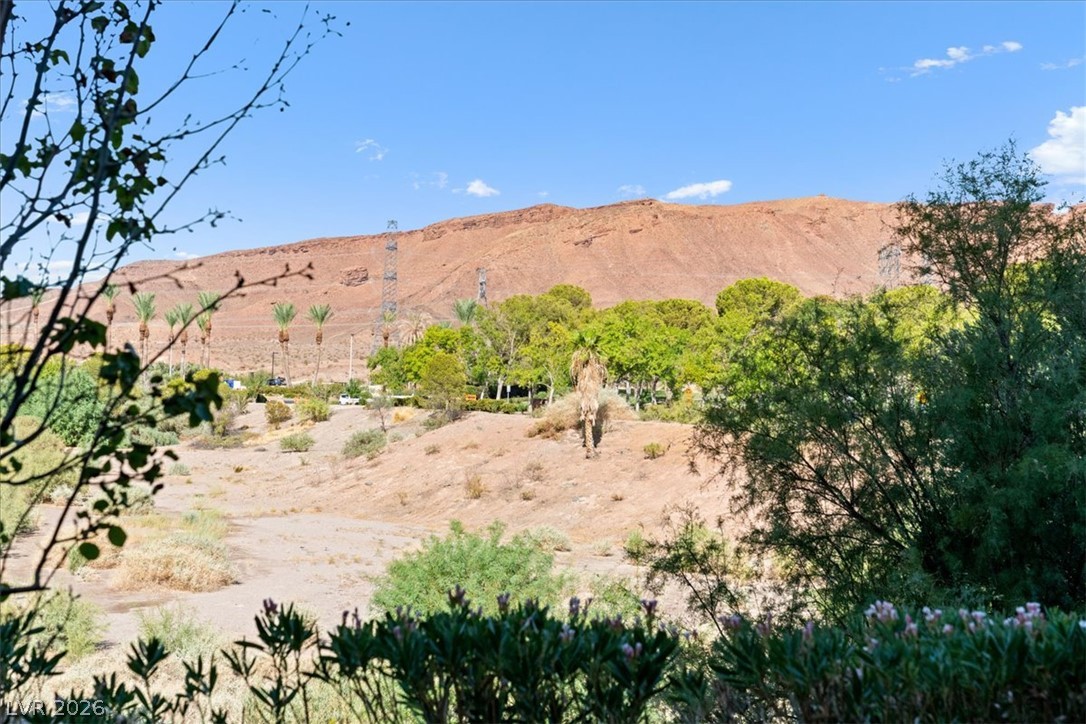 29 Montelago Boulevard 107