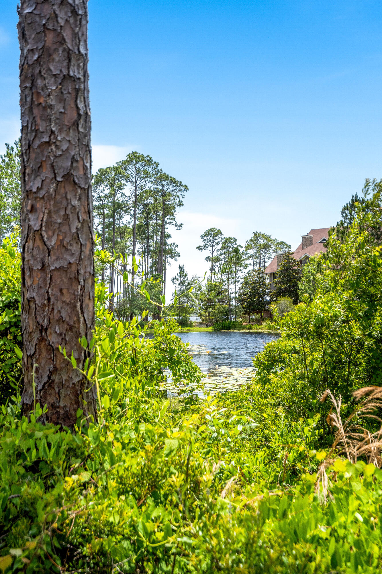 1201 Prospect Promenade