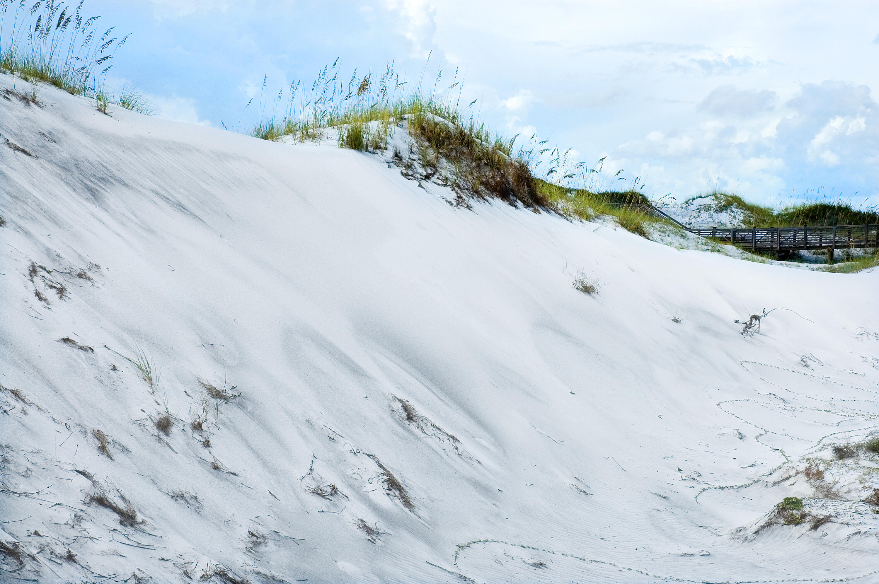 37 S Compass Point Way