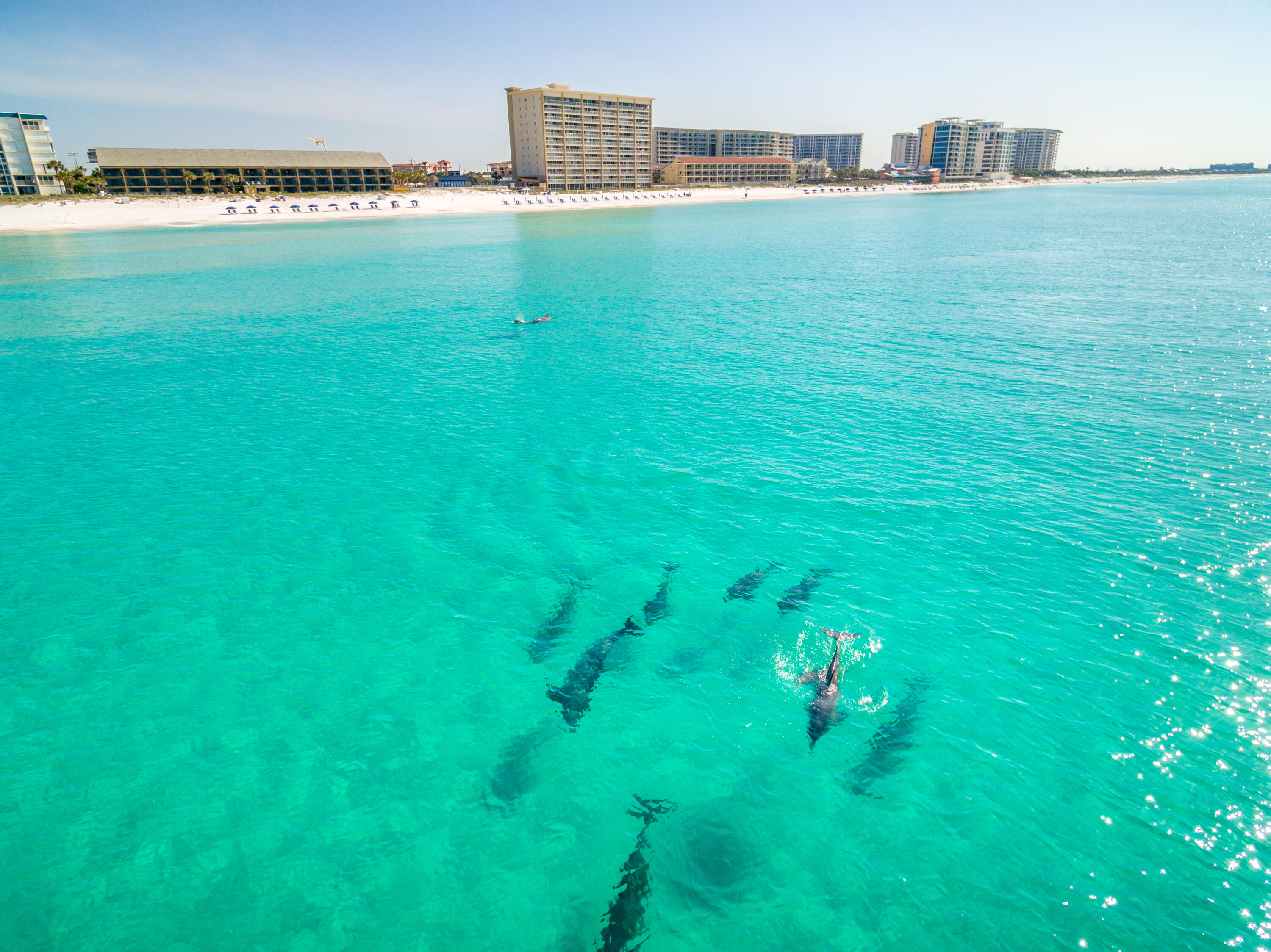 1180 Scenic Highway 98, 106