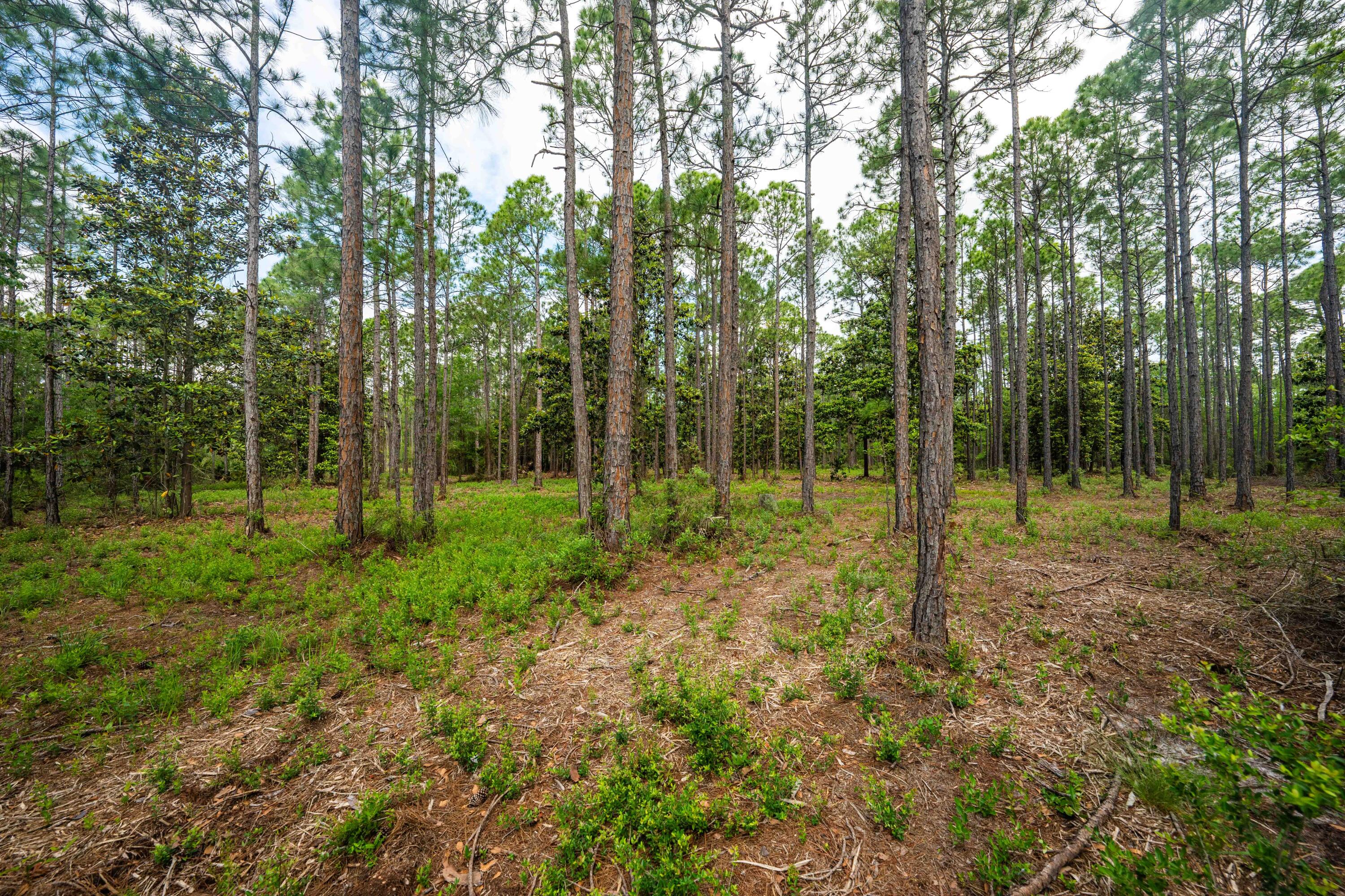 Lot 57 N Church Street