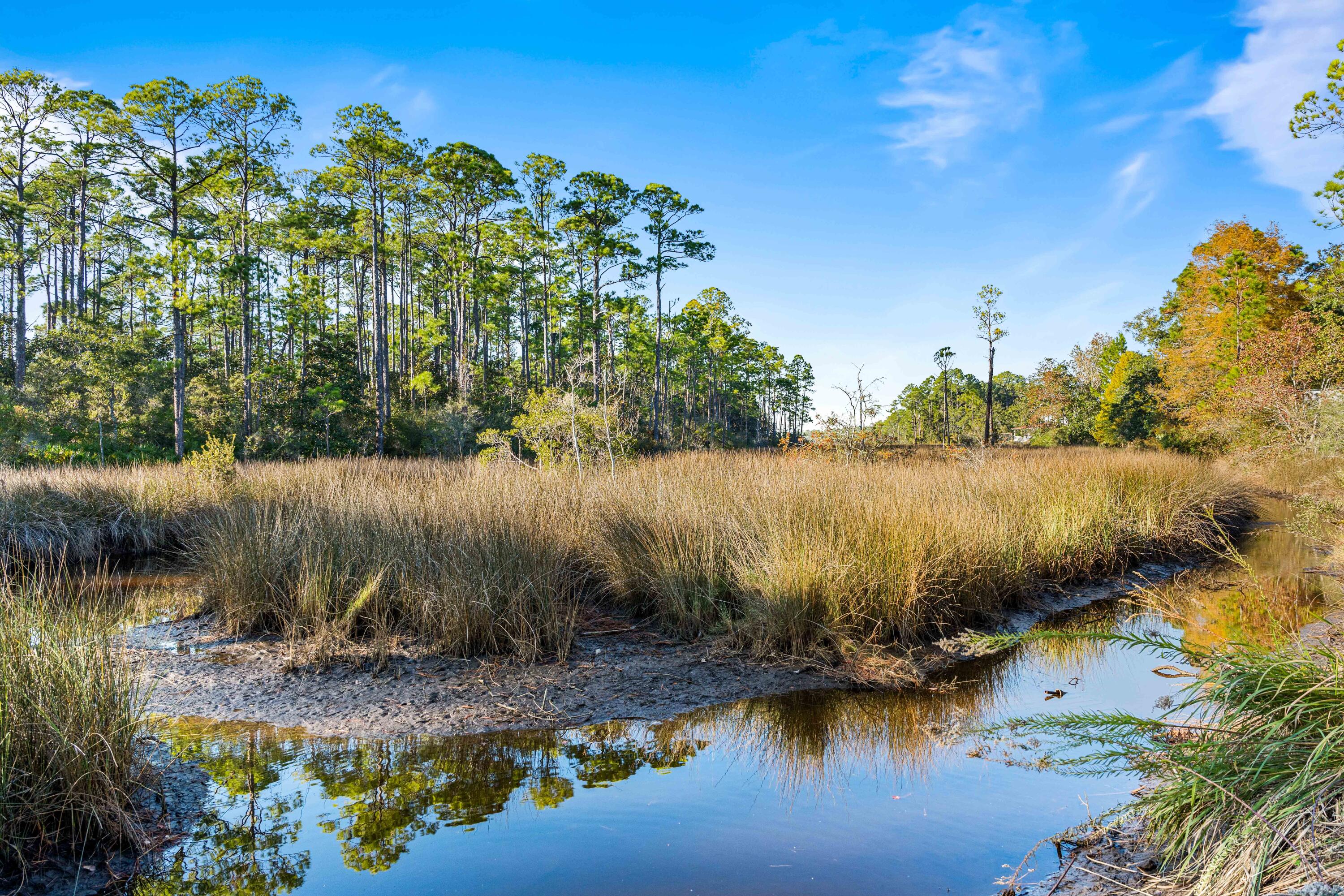 1305 N County Highway 393 N