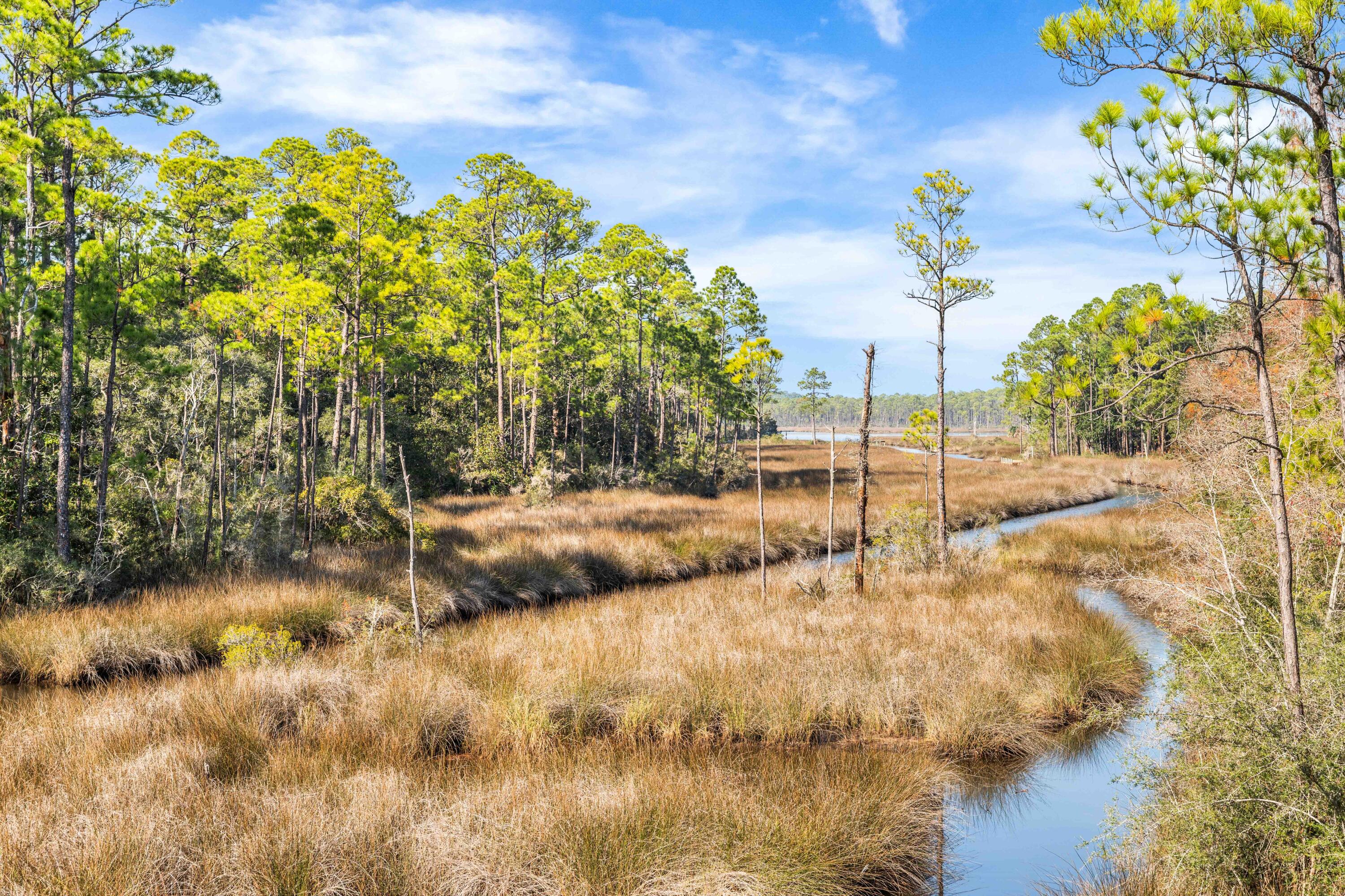 1317 N Co Highway 393