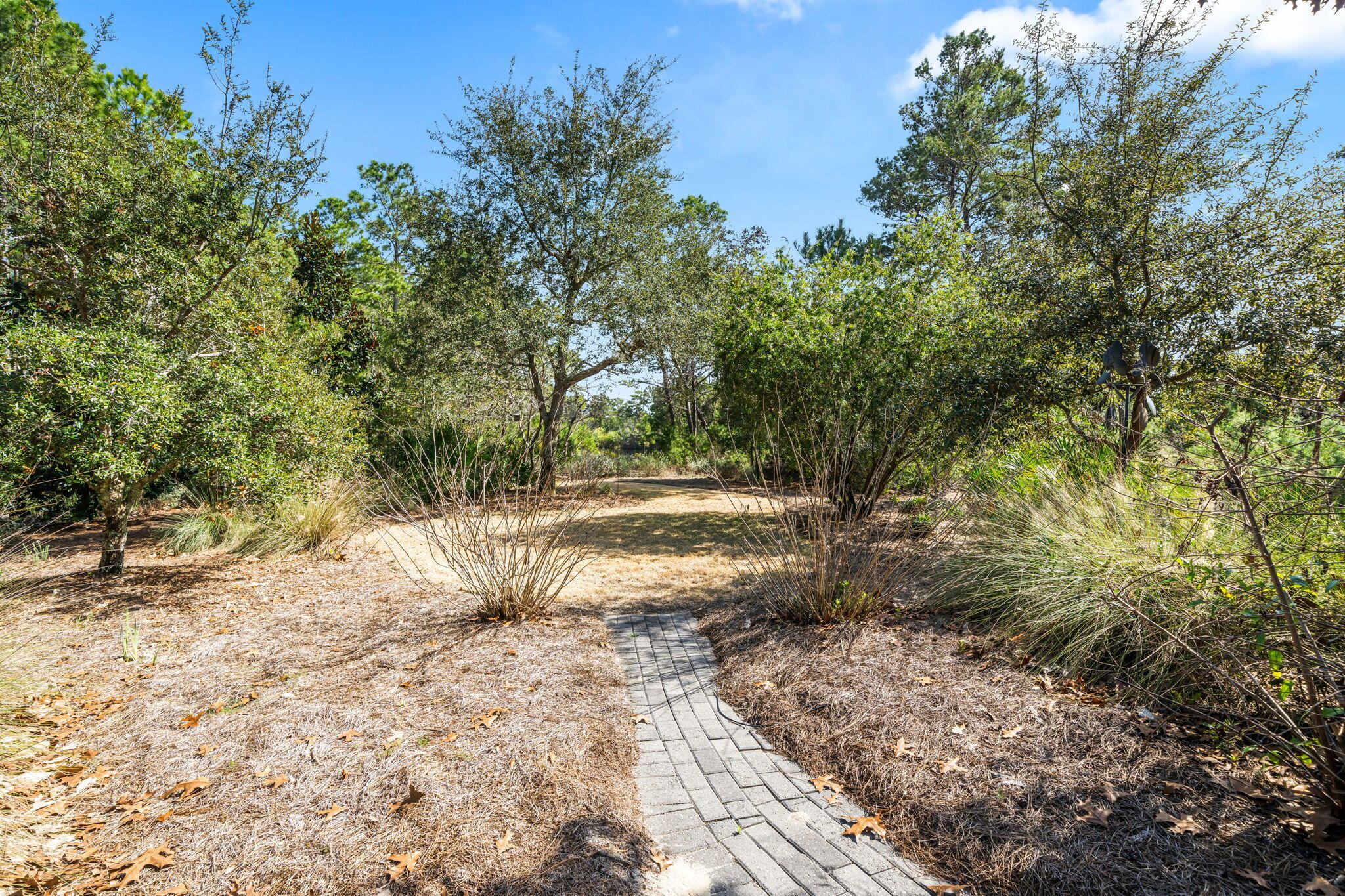 237 Splash Drive