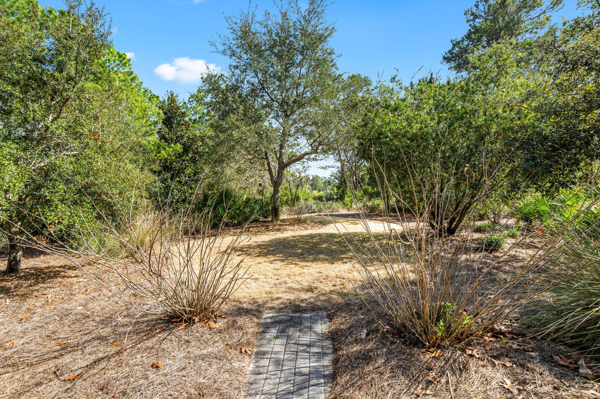 237 Splash Drive