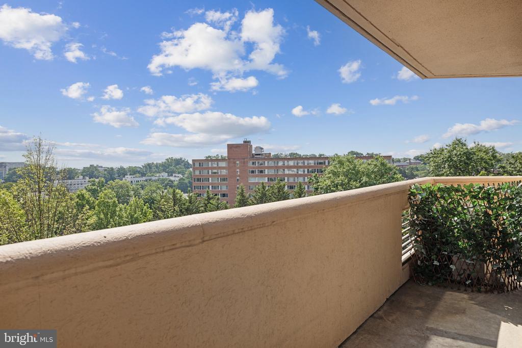 1301 N COURTHOUSE ROAD 602