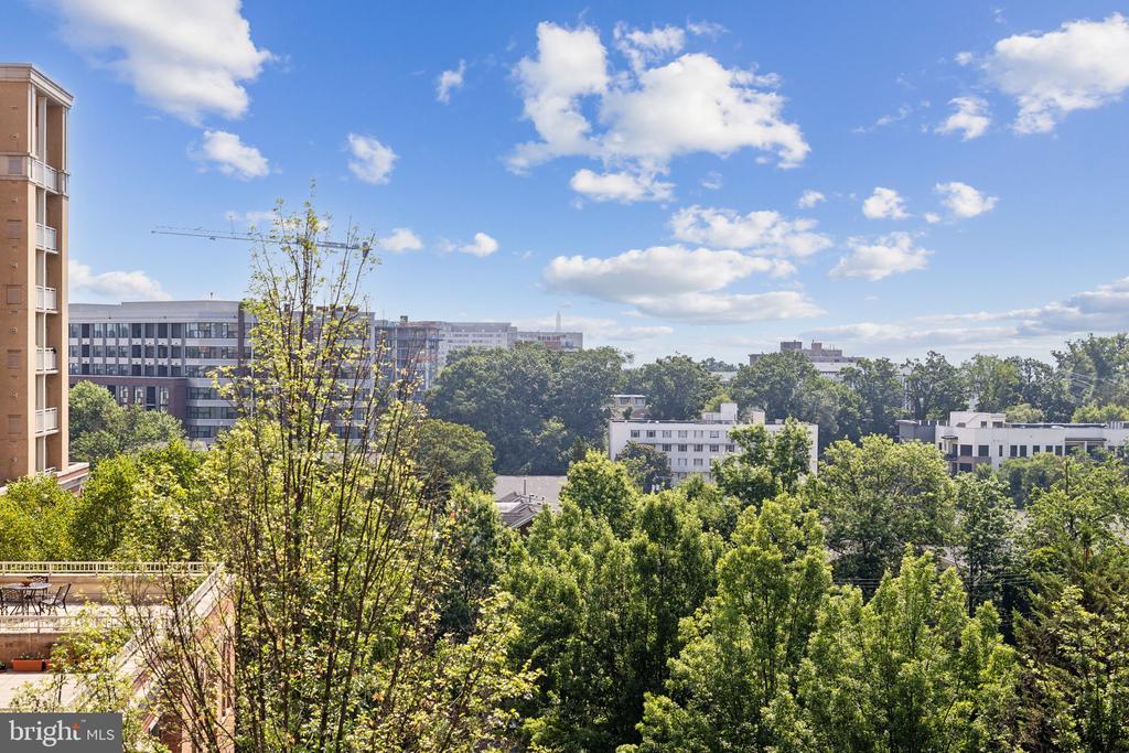 1301 N COURTHOUSE ROAD 602