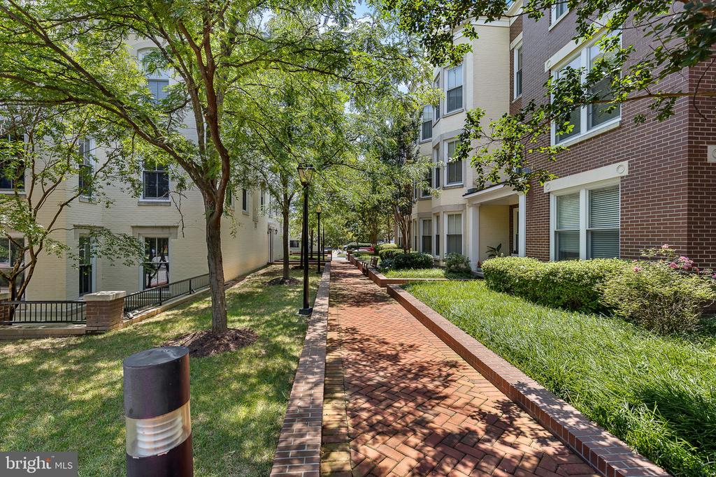 910 POWHATAN STREET Unit: 201N