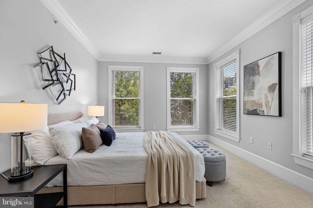 910 POWHATAN STREET Unit: 201N